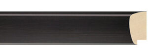 FLM-161-21