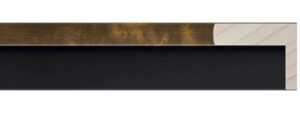 FLM-301-11