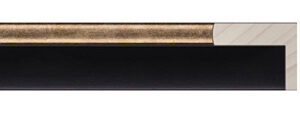 FLM-301-38