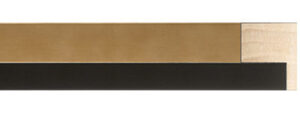 FLM-307-20