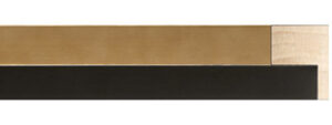 FLM-340-20