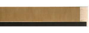 FLM-341-20