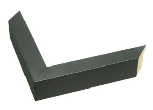 FLST-22201