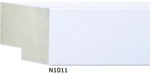 FLU-N1011