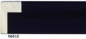 FLU-N6610