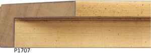 FLU-P1707