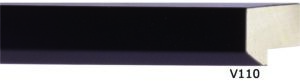 FLU-V110